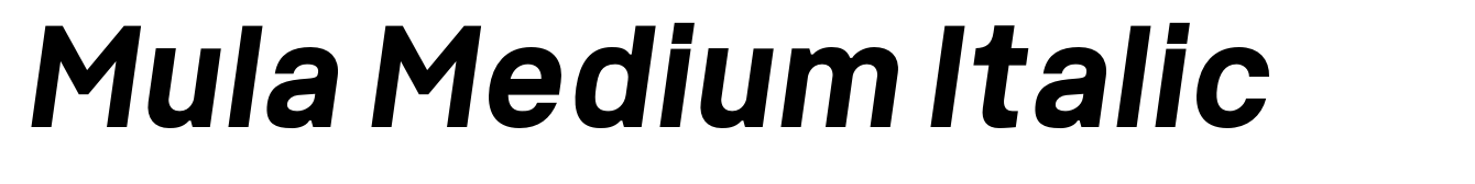 Mula Medium Italic